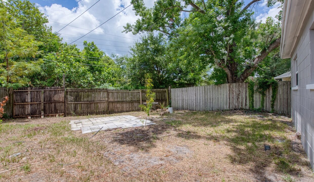 backyard 1