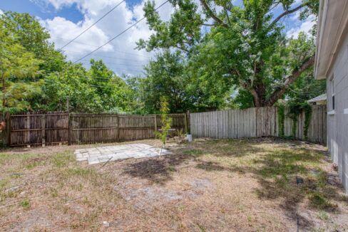backyard 1