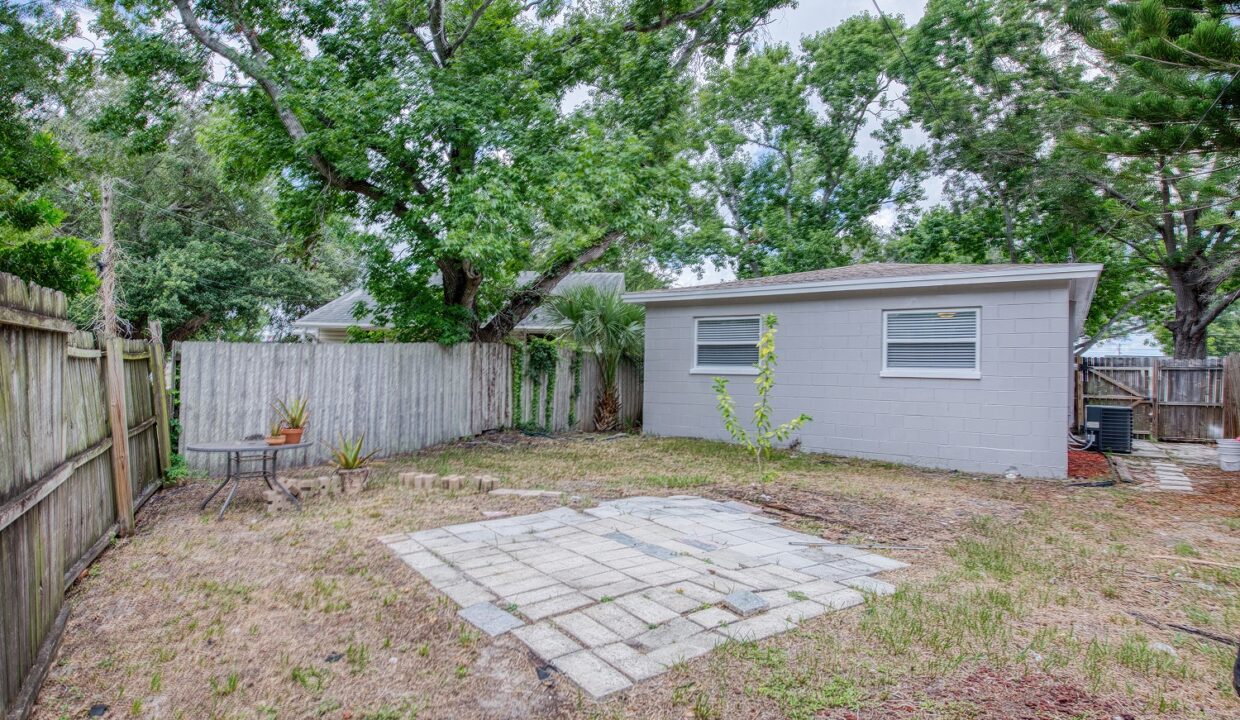 backyard 4